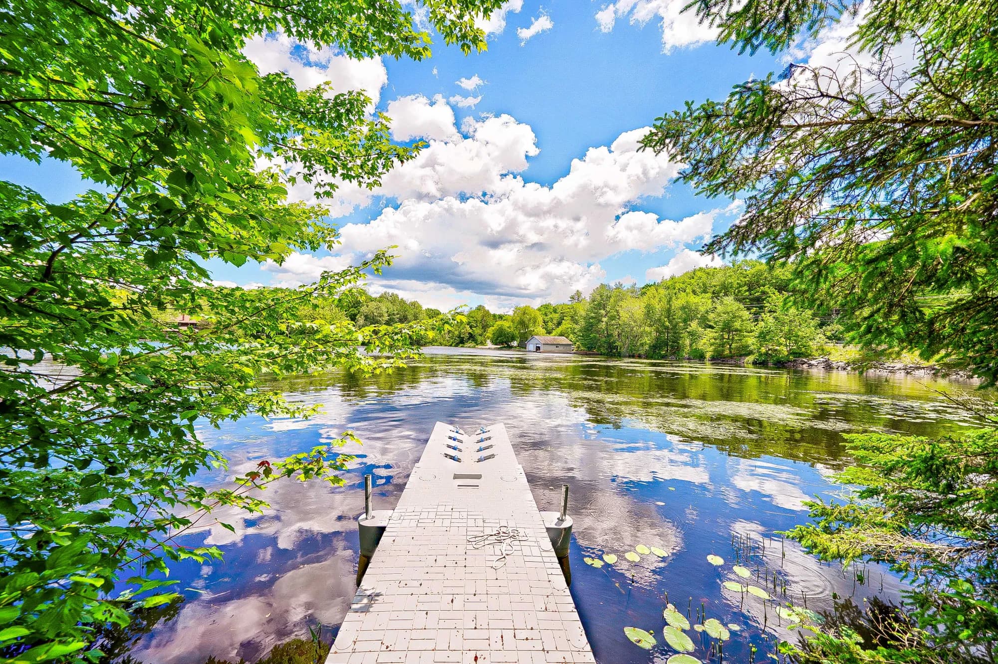 Waterfront Cottage Retreat — Down to the water